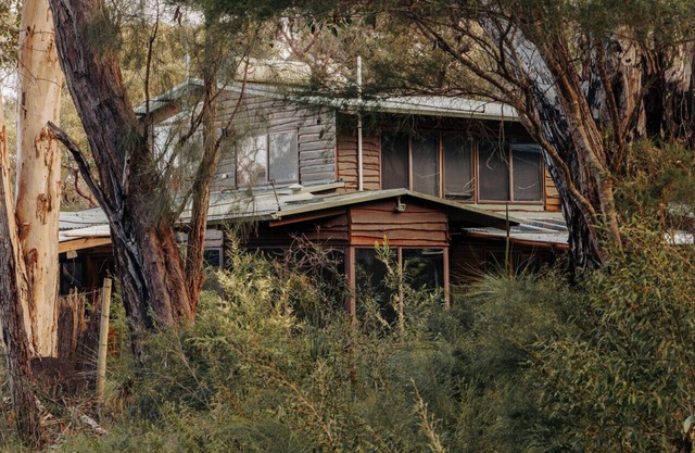 Bimbi Forest Eco Lodge - Denmark