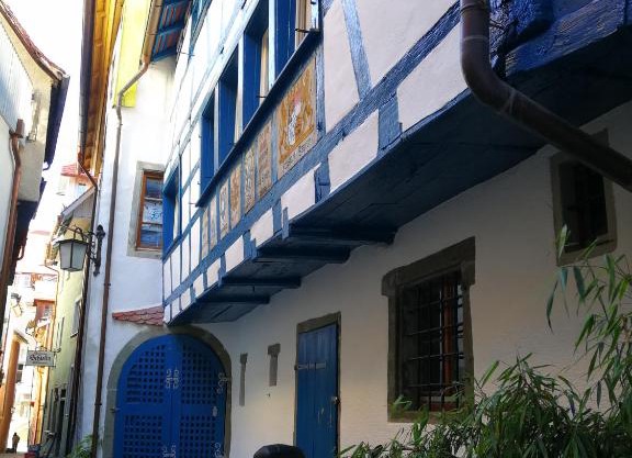 Bio-Ferienwohnung Ellensohn