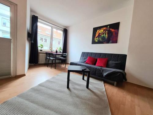 Black Beauty im Zentrum von Osnabrück