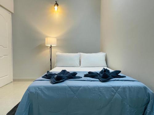 Blue Horizon 2BHK 5 min Colva Beach