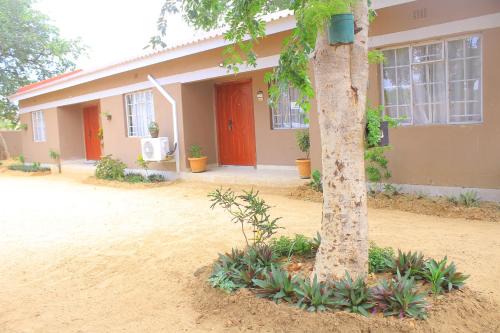 Blue Ridge Escape Guest House