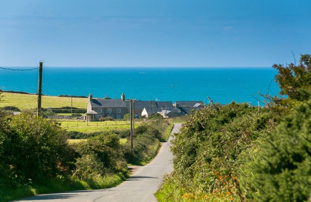 Borthwen Bach - a dog that sleeps 2 guests in 1 bedroom