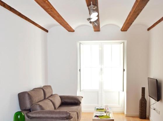 Botànic Apartaments