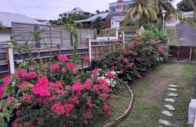 bougainville Beauvallon