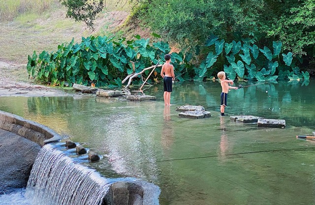 Brand new Cabin with Pool, hot tub, kayaking, paddle boarding & hiking! - RC16