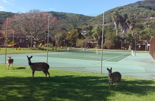 Brenton Park Holiday Cottages