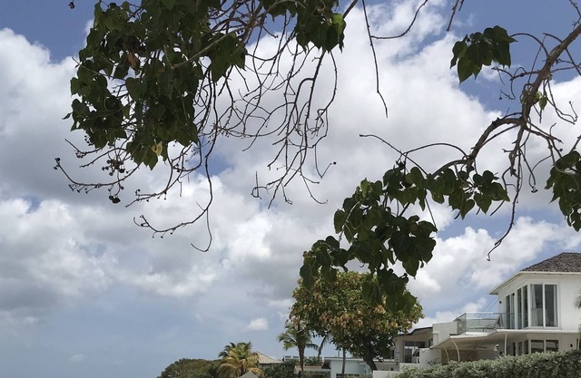 Bright One bed Apartment - 5 minutes from beach!