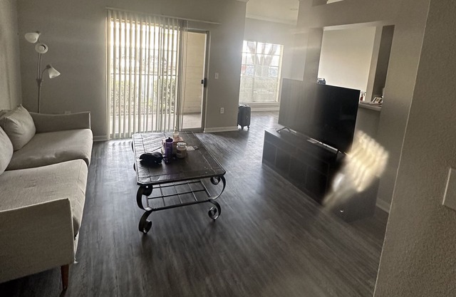 Budget Co-living stay- Travelers/Students!