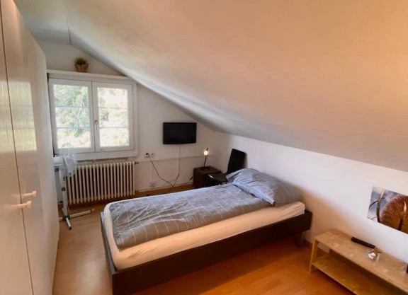 Budgetapartment Zeppelin von Swisspartments