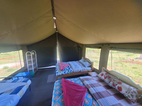 Buffalo creek camp