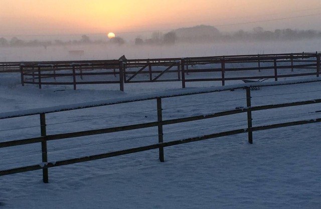 Bungalow-Comfort-Ensuite-Terrace-Solanum
