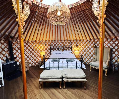 Buzzard Holt Hosting