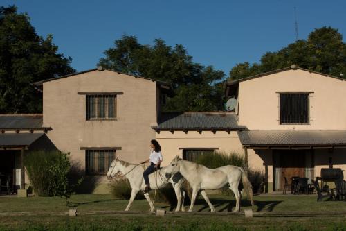 Cabaña Atardecer - Finca La Falda - Salta