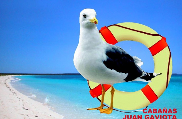 Cabañas Juan Gaviota