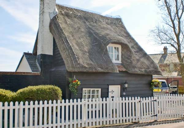 Thatch 