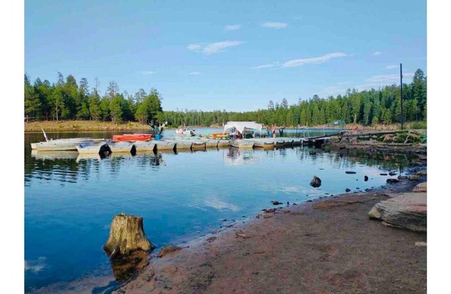 Cabin at Christopher Creek