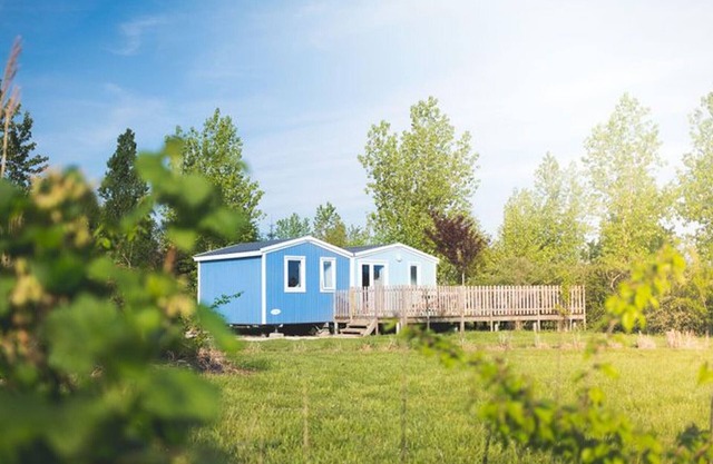 Cabin for 6 with Terrace