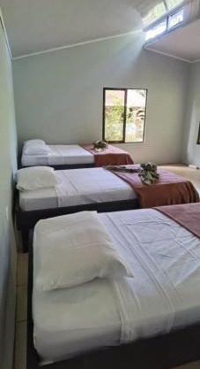 Cabinas Corcovado Green Parrot, Los Planes Drake