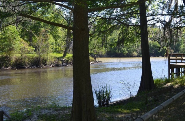 Camp on Bayou Manchac
