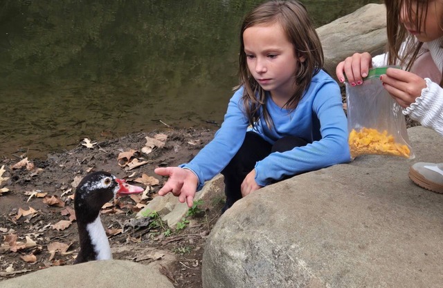 campground,fishing pond/farm petting and feeding, bright stars/fruit trees fire