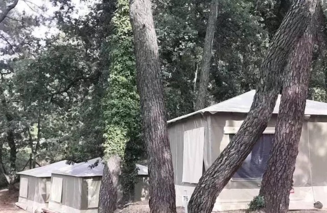 Camping maeva Escapades La Pinède en Provence *** - Basilic Canvas Bungalow 3 Rooms 4 People Without Toilets