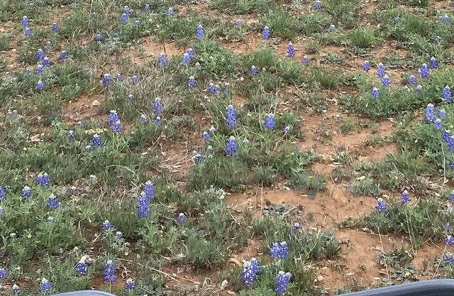 Camping! Solar eclipse! Bring your tent! Llano TX