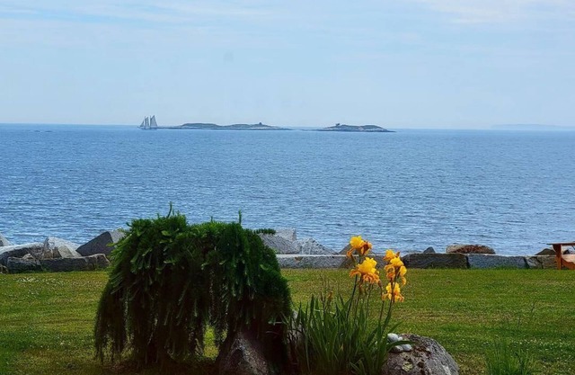 Candy Cove nPeace and seclusion by the Sea in Maine