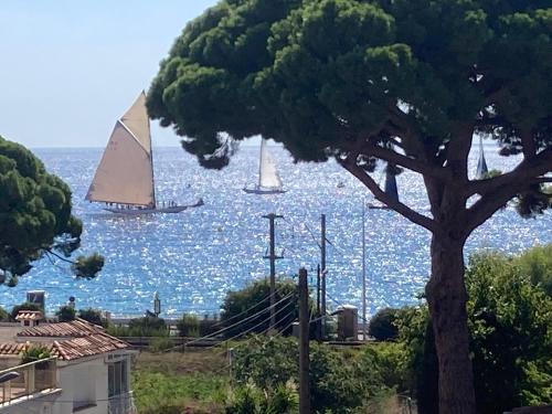 Cannes Sea View, by Beach, Private Room in Shared 3-Bedroom Apartment, Private Bathroom & Balcony, Chambre avec salle de bain privative & balcon, chez l'habitant