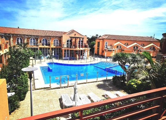 canoa palm oasis 2