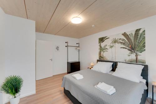 Carport A3 CGN & DUS Barrierefrei