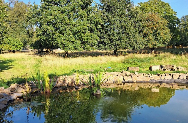 Carreg Cennen Cottage