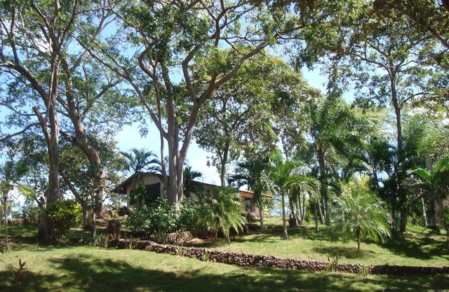 CASA AZUL/PLAYA GRANDE/PEACEFUL & PRIVATE/SHORT WALK TO BEACH