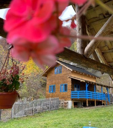 Casa Brună