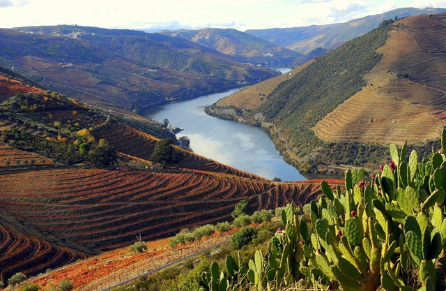 Casa das Flores, large villa with swimming pool in the Douro Valley