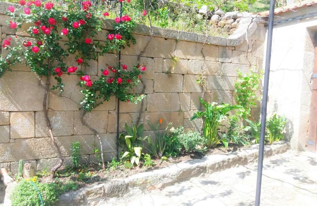 Casa de Campo Cabriz Casa do Brasileiro