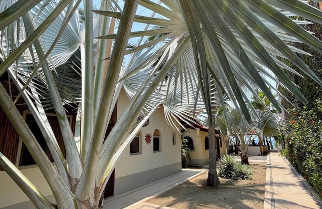 Casa de la Luna - La Nopalera