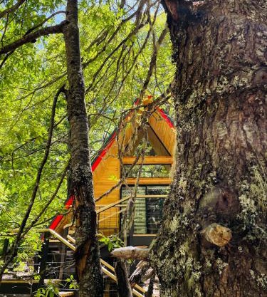 Casa del Árbol - Malalcahuello