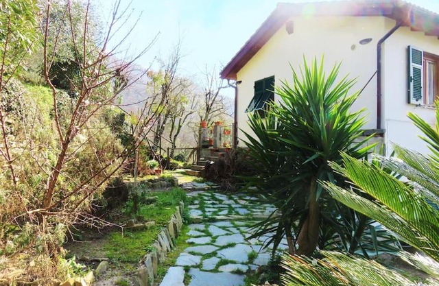 casa di arya CODICE CITRA LT-0043