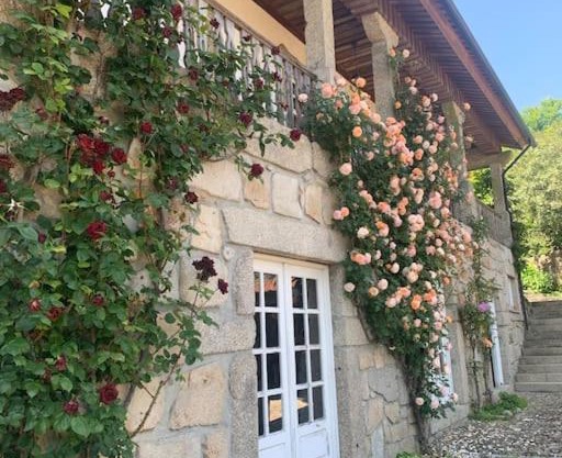 Casa dos três rapazes