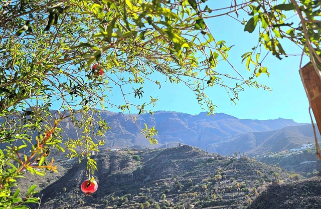 Casa Rural Típica Canaria En La Montaña