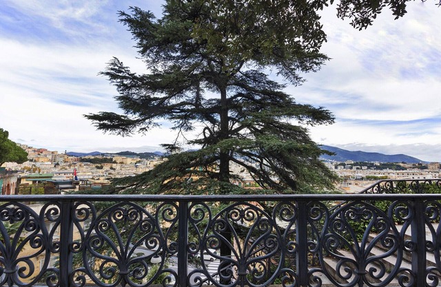 Casa Gilda in Carignano by Wonderful Italy