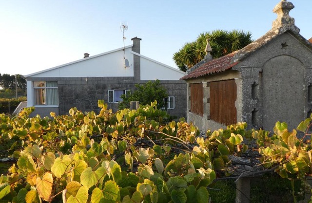 Casa rural Don Armando