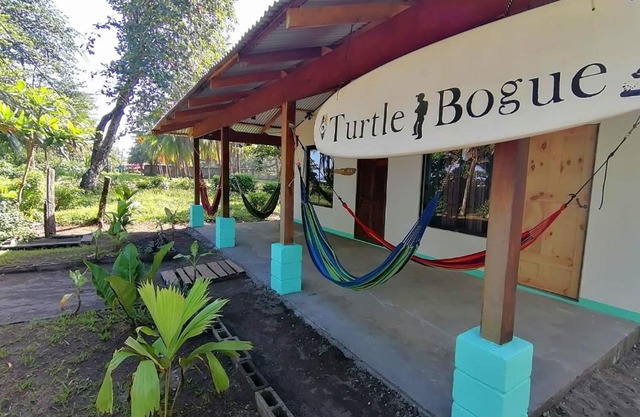 Casa turtle Bogue