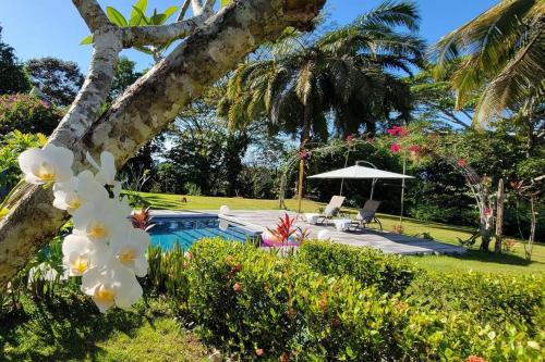 Casa Zenn Villa March26 plus 2 cats