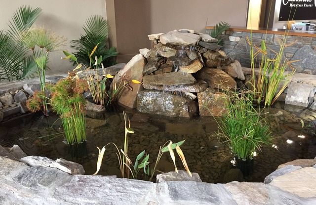 Cascades Mountain Resort, Ascend Hotel Collection