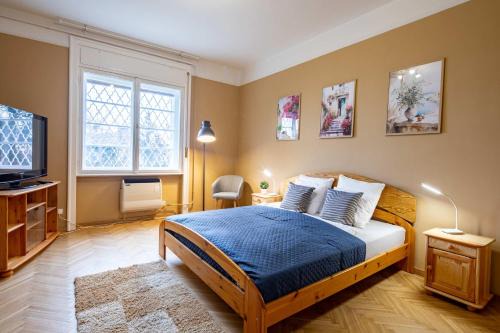 Central - Free parking - Green