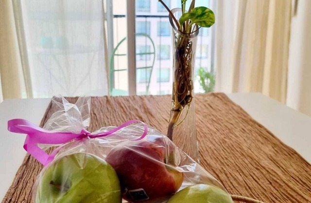 Centro de Buenos Aires Ideal Familias/muy Seguro/cerca de Todo.tu Lugar en Bs As