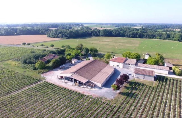 Château Pierre de Montignac