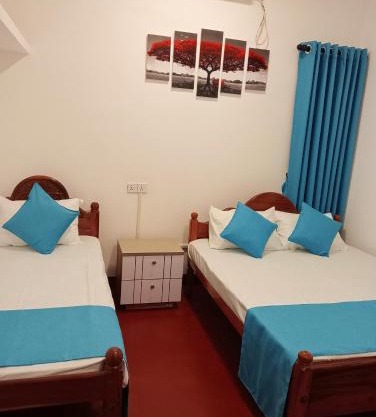 Cha Cha Guest in & Tours