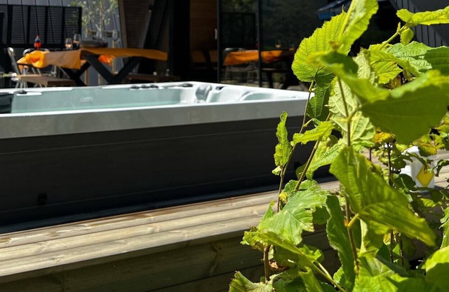 CHALET DELTA au CHAMBON SUR LAC